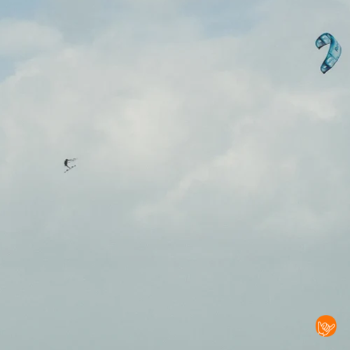 Reedin MasterModel 2026 - Afbeelding 3