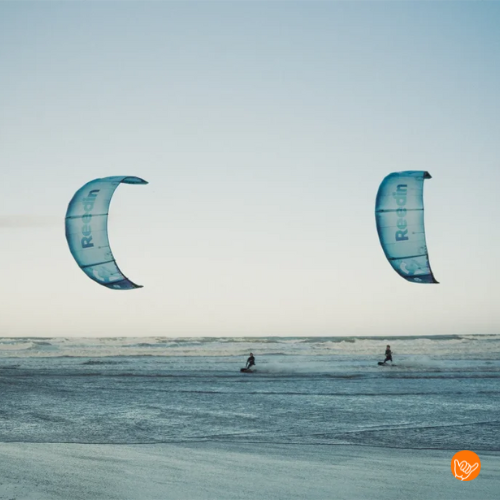 Reedin MasterModel 2026 - Afbeelding 4