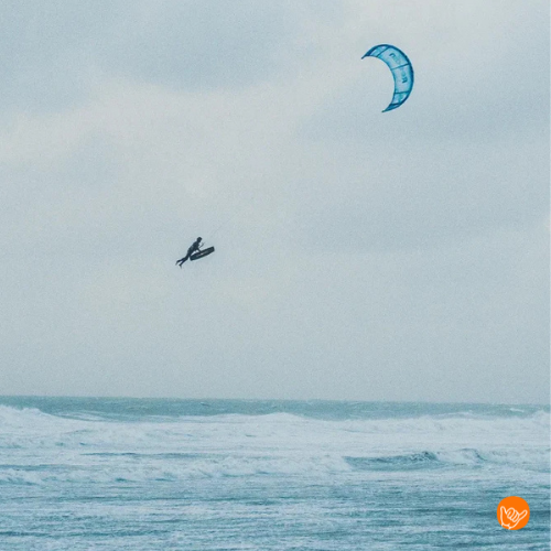 Reedin MasterModel 2026 - Afbeelding 5